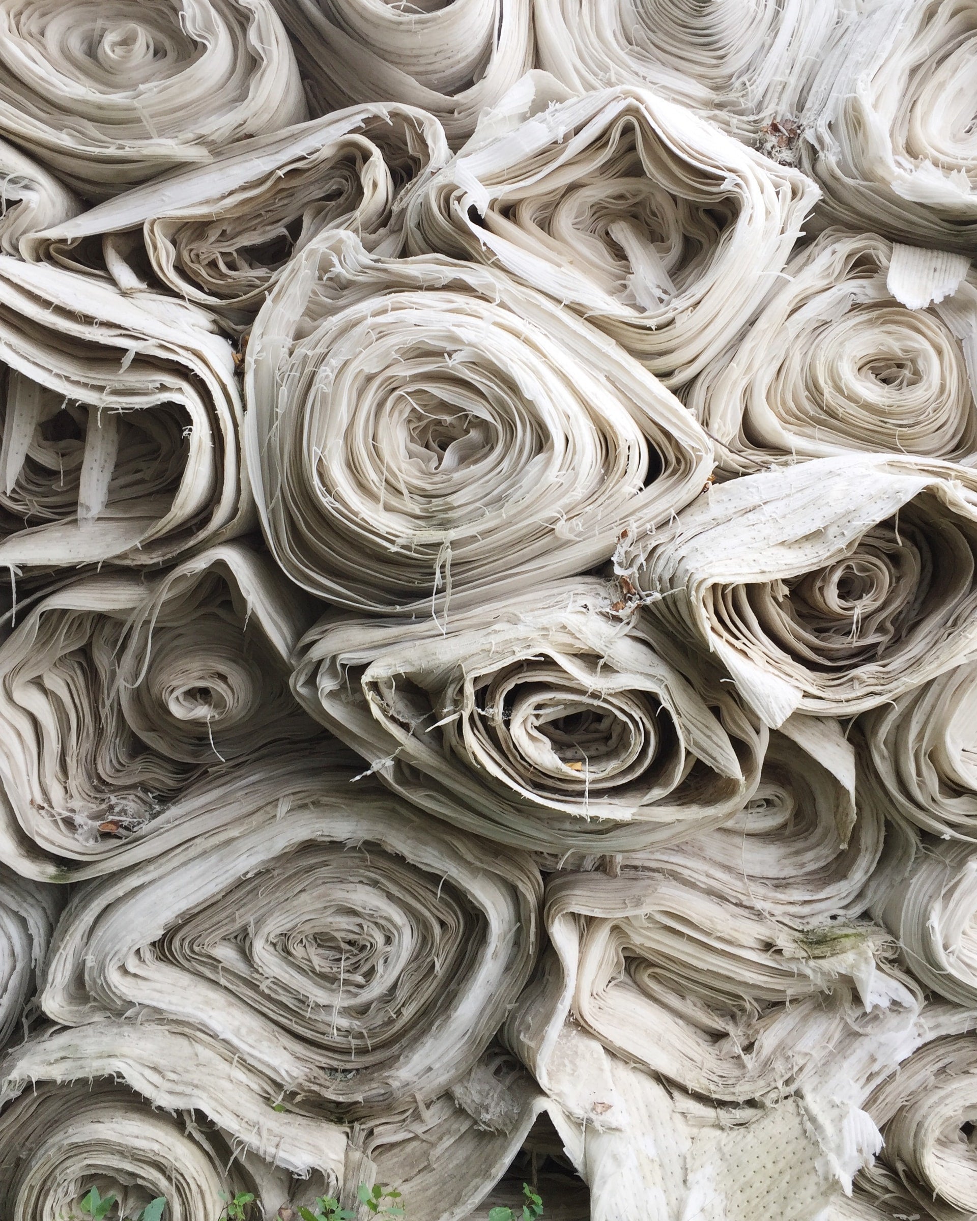 Ecological cotton